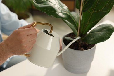 Photo of Man watering beautiful potted houseplants at table indoors, closeup