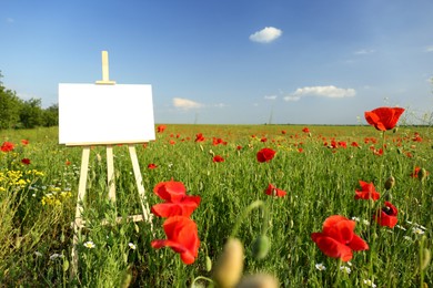 Wooden easel with blank canvas in poppy field on sunny day