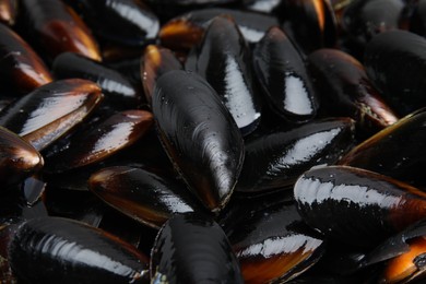Heap of raw mussels in shells as background, closeup
