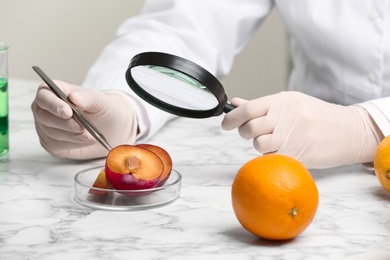 Scientist with magnifying glass exploring plum in laboratory, closeup. Poison detection