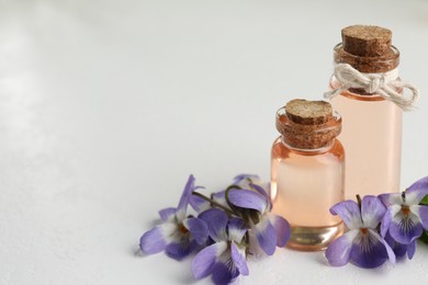 Beautiful wood violets and essential oil on white table, space for text. Spring flowers