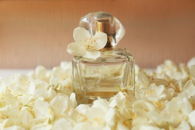 Bottle of jasmine perfume on white flowers, closeup