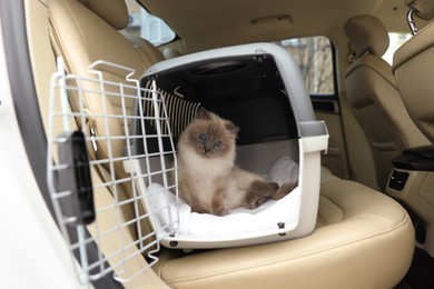 Cute grey cat inside pet carrier in car