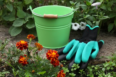 Photo of Gardening gloves and green bucket near flowers outdoors