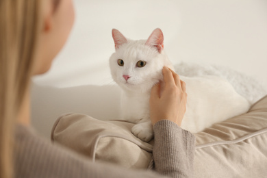 Young woman petting her beautiful white cat at home, closeup. Fluffy pet