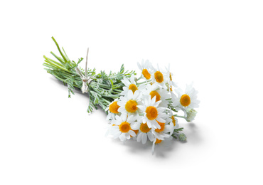 Beautiful fresh chamomile bouquet isolated on white