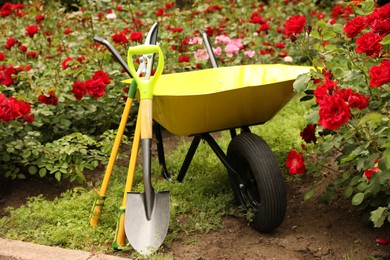 Wheelbarrow and other gardening tools in park on sunny day