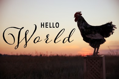 Image of Hello World. Big domestic rooster on stand at sunrise 