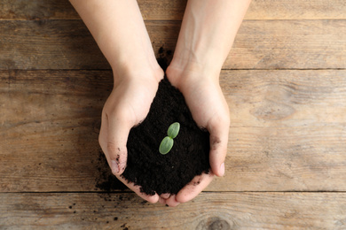 Woman holding soil with seedling at wooden table, top view