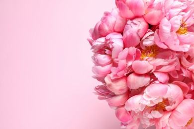 Photo of Bunch of beautiful peonies on pink background, top view. Space for text