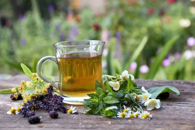 Cup of hot aromatic tea and different fresh herbs on wooden table outdoors