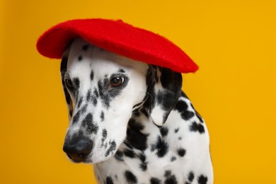 Photo of Adorable Dalmatian dog wearing red beret on yellow background