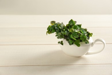 Beautiful green clover leaves in gravy boat on white wooden table. Space for text