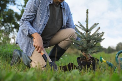 Man planting conifer tree in park, closeup