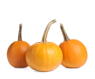 Fresh ripe pumpkins isolated on white background. Autumn season
