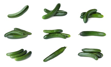 Set with whole ripe cucumbers on white background