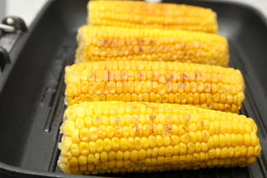 Fresh corn cobs on grill pan, closeup