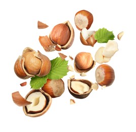 Image of Pieces of tasty hazelnuts falling on white background
