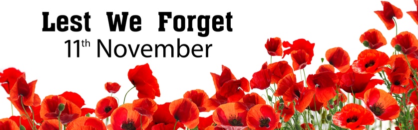 Image of Remembrance day banner. Red poppy flowers and text Lest We Forget 11th November on white background