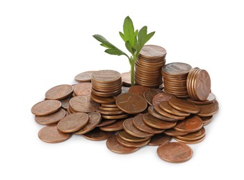 Pile of coins and green plant on white background. Investment concept
