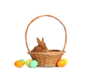 Adorable fluffy bunny in wicker basket and Easter eggs on white background