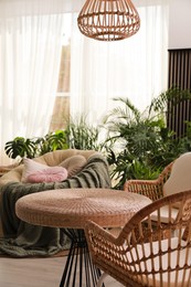 Indoor terrace interior with wicker furniture and green plants