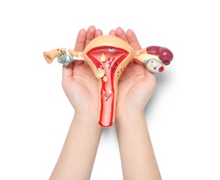 Woman holding model of female reproductive system on white background, top view. Gynecological care