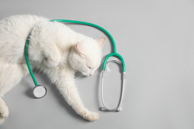 Cute cat with stethoscope as veterinarian on grey background, top view