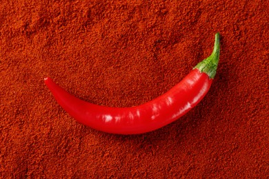 Fresh chili pepper on paprika powder, top view