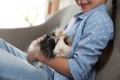 Photo of Happy little girl with guinea pig at home, closeup. Childhood pet