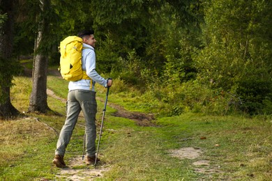 Photo of Man with backpack and trekking poles hiking in forest. Space for text
