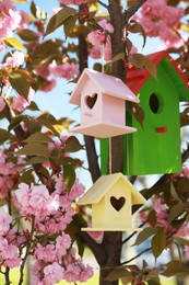 Different bird houses on tree branches outdoors