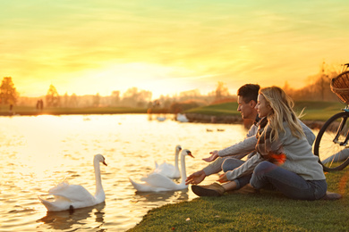 Young couple near lake with swans at sunset. Perfect place for picnic