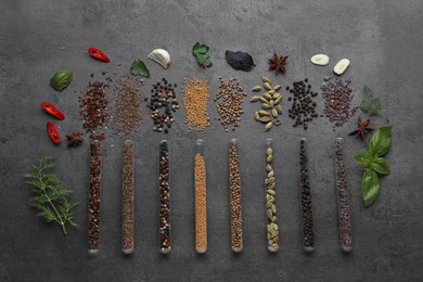 Flat lay composition with various spices, test tubes and fresh herbs on grey background