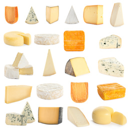 Set with different sorts of cheese on white background