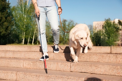 Photo of Guide dog helping blind person with long cane going down stairs outdoors