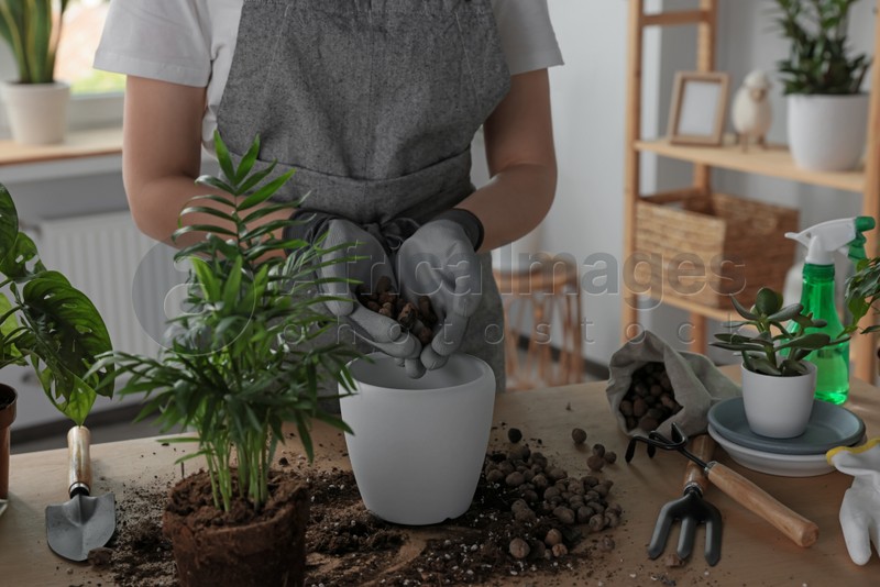 Woman filling flowerpot with drainage at table indoors, closeup. Houseplant care