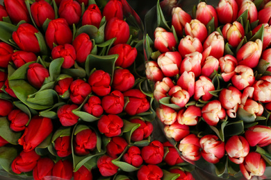 Fresh colorful bouquets with tulip flowers, top view