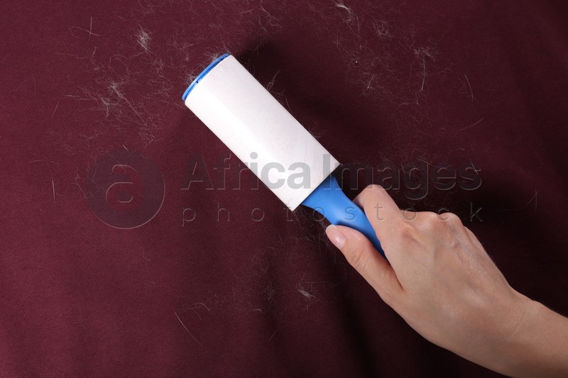 Photo of Woman removing hair from red fabric with lint roller, closeup