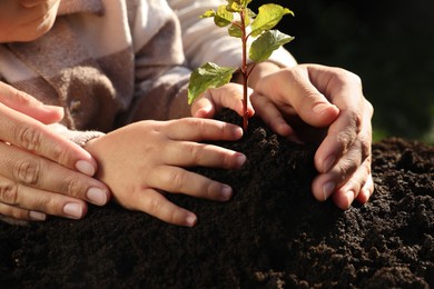 Mother and daughter planting young tree in soil, closeup