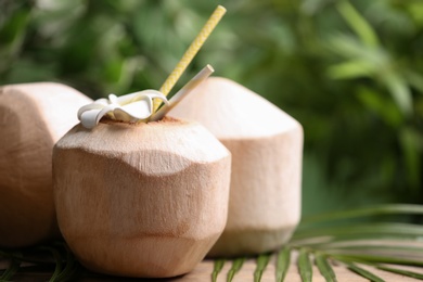 Young peeled coconuts with straws, palm leaf and flower on wooden table. Space for text