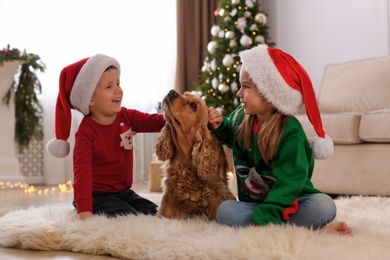 Cute little kids with English Cocker Spaniel in room decorated for Christmas