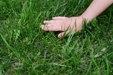 Woman touching fresh grass on green lawn, closeup