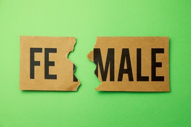 Gender equality. Torn card with word FEMALE on green background, flat lay