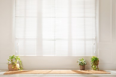 Rug and green houseplants near large window with blinds in spacious room. Interior design