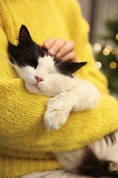 Woman stroking adorable cat in room with Christmas tree, closeup