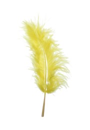 Fluffy beautiful yellow feather isolated on white