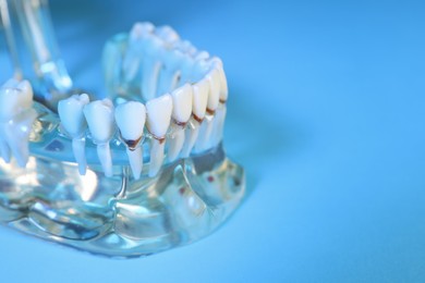 Educational dental typodont model with teeth on light blue background, closeup. Space for text