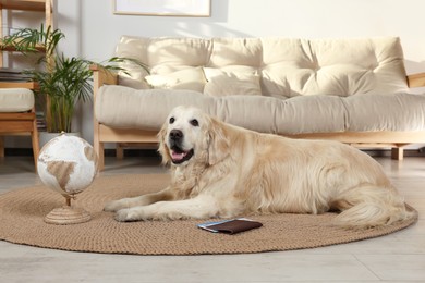 Cute golden retriever lying near passport, tickets and globe on floor in living room. Travelling with pet