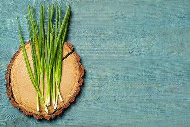 Fresh green onion on blue wooden table, top view. Space for text